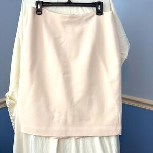 Ann Taylor Pencil Skirt